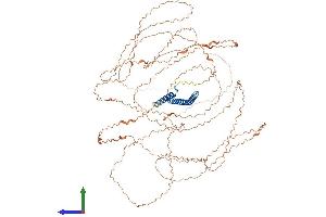 AlphaFold protein structure predicition of Human Recombinant NBPF14 Protein, UniprotID Q5TI25 (NBPF14 Protein (AA 1-921) (His tag))