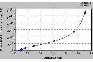 WNT1 ELISA Kit