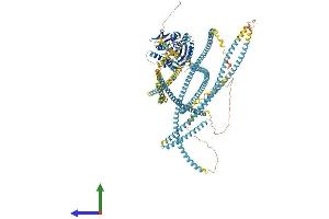 Protein Structure (PS) image for Kinesin Family Member 15 (KIF15) (AA 1-1387) protein (His tag) (ABIN7564098)