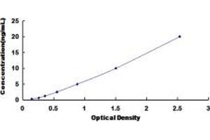 CES1 ELISA Kit