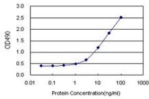 Sandwich ELISA detection sensitivity ranging from 1 ng/mL to 100 ng/mL. (AKR1C2 (Human) Matched Antibody Pair)