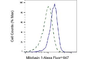 Validation of Mitofusin 1 knockdown using flow cytometry. (Rekombinanter MFN1 Antikörper)
