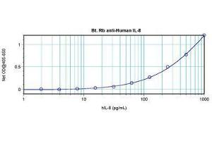 Image no. 2 for anti-Interleukin 8 (IL8) antibody (Biotin) (ABIN465817) (IL-8 Antikörper  (Biotin))