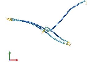 Protein Structure (PS) image for Meiosis-Specific Nuclear Structural 1 (MNS1) (AA 1-495) protein (His tag) (ABIN7549488)