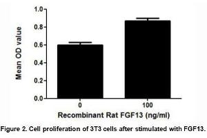FGF13 (Fibroblast growth factor 13) is a member of the fibroblast growth factor (FGF) family. (FGF13 Protein (AA 1-192) (His tag))