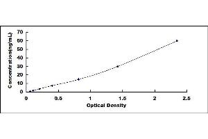 Typical standard curve (IGFBP2 ELISA Kit)