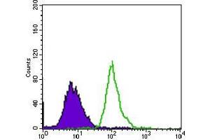 Flow cytometric analysis of HepG2 cells using EGFR mutant mouse mAb (green) and negative control (purple). (EGFR Mutant (AA 693-893), (Mutant) Antikörper)