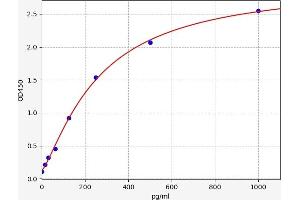Interleukin 28B (Interferon, lambda 3) (IL28B) ELISA Kit