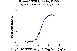 ELISA image for Fibulin 3 (FBLN3) (AA 18-493) protein (His tag) (ABIN7274512)