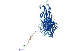 Protein Structure (PS) image for Copine II (CPNE2) (AA 1-548) protein (His tag) (ABIN7556540)