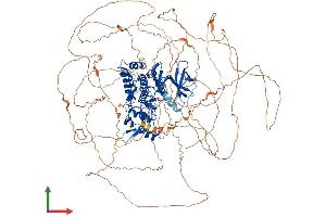 Protein Structure (PS) image for Homeodomain Interacting Protein Kinase 3 (HIPK3) (AA 1-1215) protein (His tag) (ABIN7554111)