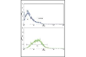 Flow Cytometry (FACS) image for anti-Interleukin 8 (IL8) (AA 72-99), (C-Term) antibody (ABIN652552)