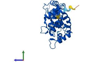 AlphaFold protein structure predicition of Human Recombinant DCUN1D1 Protein, UniprotID Q96GG9 (DCUN1D1 Protein (AA 1-259) (His tag))