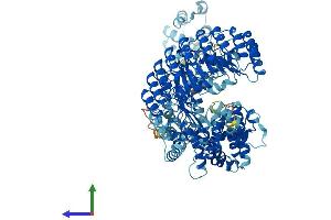 Protein Structure (PS) image for NLR Family, Pyrin Domain Containing 9B (NLRP9B) (AA 1-1003) protein (His tag) (ABIN7564001)