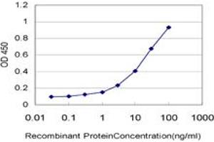 Detection limit for recombinant GST tagged LDB1 is approximately 0. (LIM Domain Binding 1 Protein Antikörper  (AA 1-110))