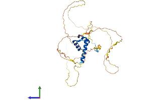 Protein Structure (PS) image for Homeobox A1 (HOXA1) (AA 1-331) protein (His tag) (ABIN7562764)