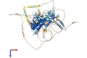 ARHGEF10 Protein (AA 1-1345) (His tag)