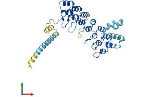 Protein Structure (PS) image for Ankyrin Repeat and SOCS Box-Containing 11 (ASB11) (AA 1-323) protein (His tag) (ABIN7560507)