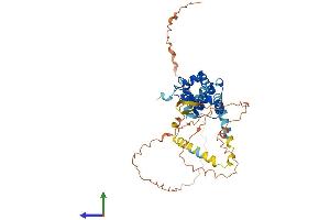 AlphaFold protein structure predicition of Human Recombinant SPDYE2B Protein, UniprotID A6NHP3
