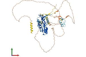 Protein Structure (PS) image for Suppressor of Cytokine Signaling 5 (SOCS5) (AA 1-536) protein (His tag) (ABIN7555561)