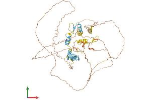AlphaFold protein structure predicition of Mouse Recombinant Ikzf4 Protein, UniprotID Q8C208