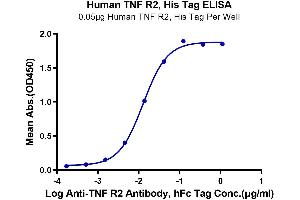 ELISA image for Tumor Necrosis Factor Receptor Superfamily, Member 1B (TNFRSF1B) (AA 23-257) protein (His tag) (ABIN7275760)