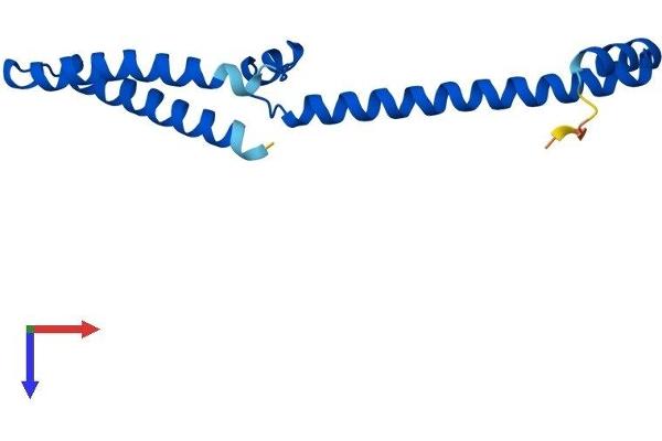 MED10 Protein (AA 1-135) (His tag)