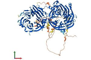 Protein Structure (PS) image for Lethal Giant Larvae Homolog 2 (LLGL2) (AA 1-1020) protein (His tag) (ABIN7554337)