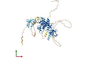 Protein Structure (PS) image for V-Raf Murine Sarcoma 3611 Viral Oncogene Homolog (ARAF) (AA 1-606) protein (His tag) (ABIN7552333)