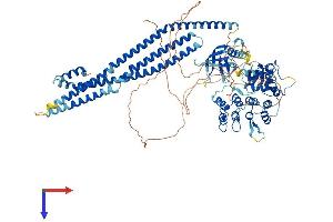 ASAP3 Protein (AA 1-904) (His tag)