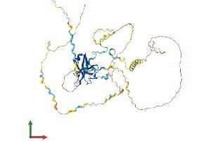 Protein Structure (PS) image for Nuclear ssembly factor 1 ribonucleoprotein (NAF1) (AA 1-489) protein (His tag) (ABIN7557233)
