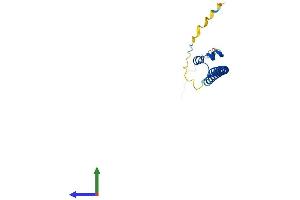 Protein Structure (PS) image for Transcription Factor MafF (MAFF) (AA 1-156) protein (His tag) (ABIN7562414)
