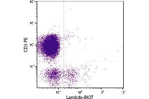 Chicken peripheral blood lymphocytes were stained with Mouse Anti-Chicken Lambda-BIOT. (Maus anti-Huhn lambda Antikörper (Biotin))