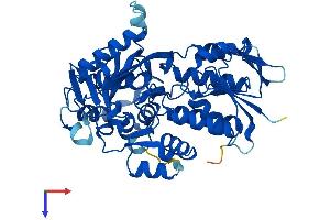 PPOX Protein (AA 1-477) (His tag)