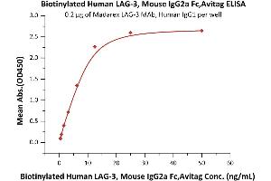 Immobilized Madarex LAG-3 MAb, Human IgG1 at 2 μg/mL (100 μL/well) can bind Biotinylated Human LAG-3, Mouse IgG2a Fc,Avitag (ABIN5954960,ABIN6253611) with a linear range of 0.