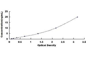 Typical standard curve (LAIR1 ELISA Kit)