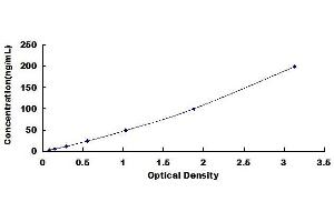 Superoxide Dismutase 2, Mitochondrial (SOD2) ELISA Kit