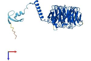 GNB5 Protein (AA 1-395) (His tag)