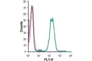 Cell surface detection of GPR4 in live intact human THP-1 monocytic leukemia cells: (black line) Cells. (GPR4 Antikörper  (Extracellular))