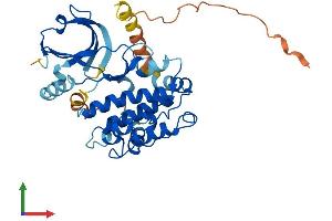 Protein Structure (PS) image for Pregnancy Up-Regulated Non-Ubiquitously Expressed CaM Kinase (PNCK) (AA 1-343) protein (His tag) (ABIN7548641)