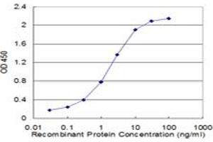 Detection limit for recombinant GST tagged FAS is approximately 0. (FAS Antikörper  (AA 20-119))