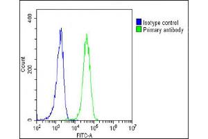 Overlay histogram showing K562 cells stained with C(green line). (EPOR Antikörper  (C-Term))