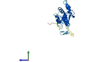 Protein Structure (PS) image for FCF1 Small Subunit (SSU) Processome Component Homolog (FCF1) (AA 1-198) protein (His tag) (ABIN7547719)