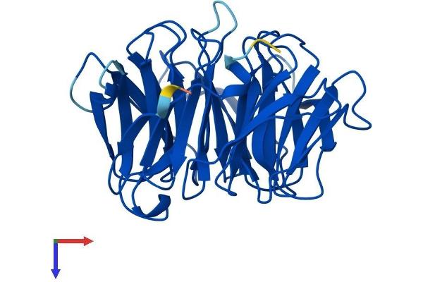 PEX7 Protein (AA 1-318) (His tag)