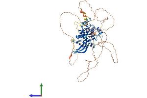 Protein Structure (PS) image for NUAK Family, SNF1-Like Kinase, 1 (NUAK1) (AA 1-661) protein (His tag) (ABIN7554818)