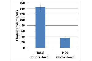 Cholesterol Values of Human Serum Tested Before and After Precipitation Using the HDL-Cholesterol Assay Kit.