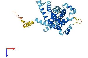 SLC25A38 Protein (AA 1-304) (His tag)