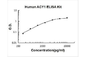 Aminoacylase 1 (ACY1) ELISA Kit