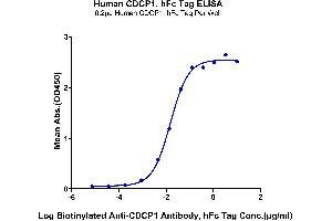 ELISA image for CUB Domain Containing Protein 1 (CDCP1) (AA 30-666) protein (Fc Tag) (ABIN7274294)