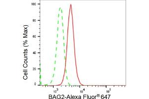 Flow cytometric analysis of BAG2 expression in HepG2 cells using BAG2 antibody (ABIN7797744), 1:2,000).